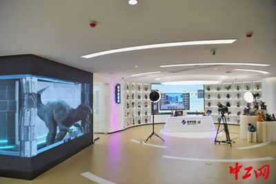 重慶南岸區實現5G全覆蓋，網絡技術服務強力驅動智能制造新飛躍